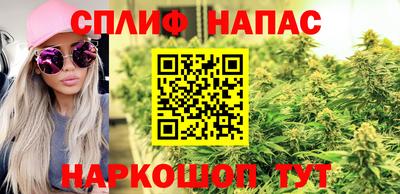 МДПВ Кингисепп