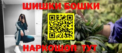 МДПВ Кингисепп