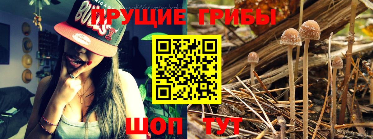 Меф МЯУ МЯУ кристаллы  Cocaine  Тимашёвск  ГАШ  Вход с VPN 