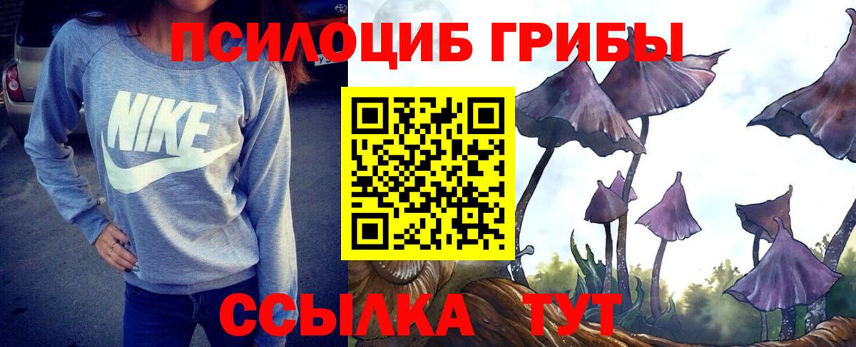 Галлюциногенные грибы MAGIC MUSHROOMS  Галлюциногенные грибы Psilocybine cubensis  Вход с VPN  Тимашёвск 