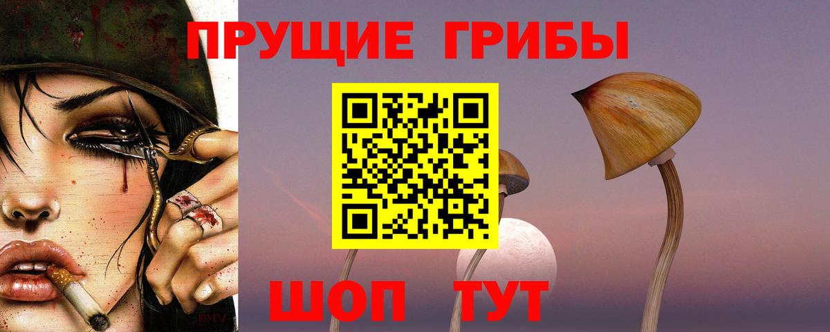 Галлюциногенные грибы ЛСД Тимашёвск